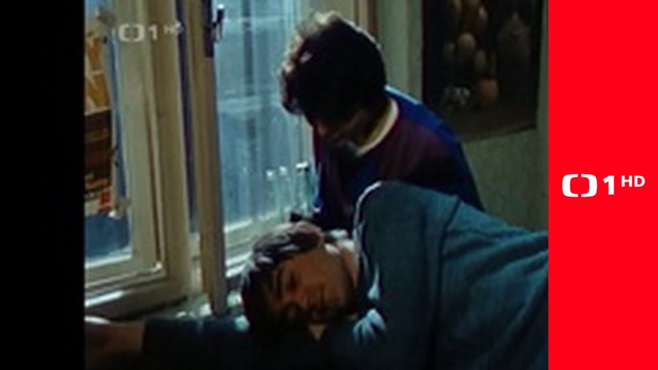 Sardinky alebo Život jednej rodinky