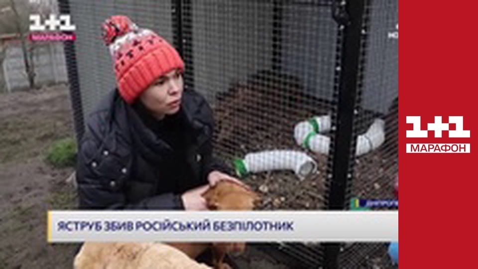 "Утро. Марафон".