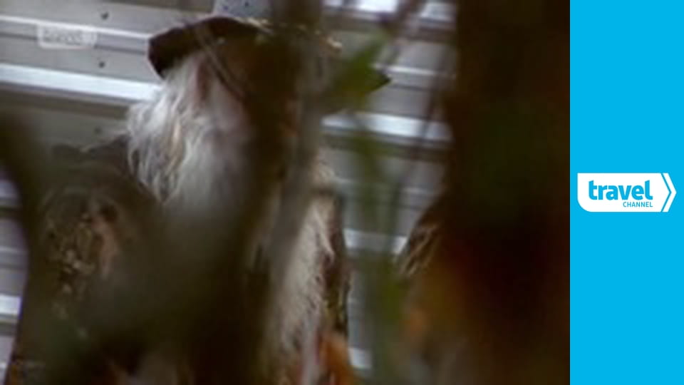 Aljašské obludy II (6)