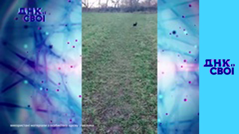 Сезон 2, Выпуск 11