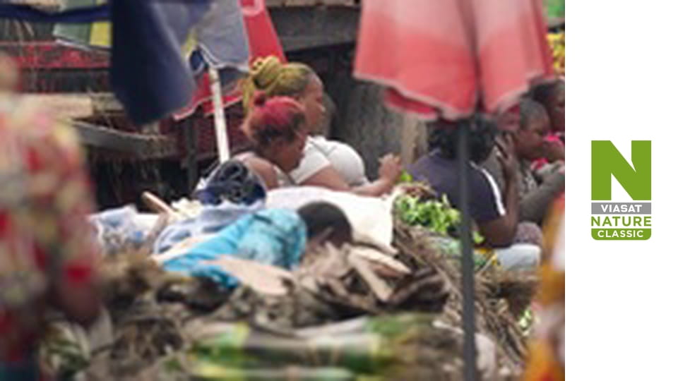 Into the Congo with Ben Fogle Season 1 Episode 1