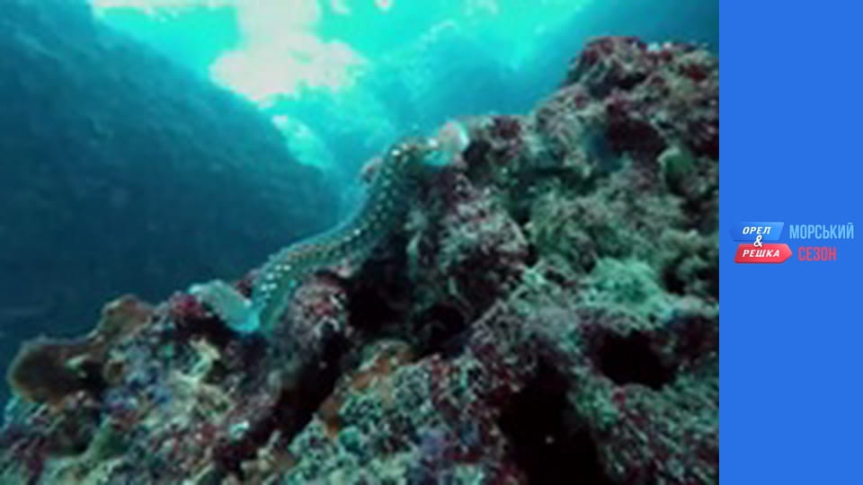 Морський сезон 2 - Випуск 1 - Болгарія