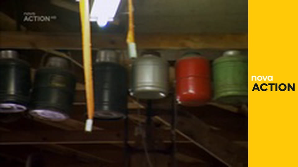 Američtí sběratelé S15E3 - Jeden velký úlovek pro lidstvo