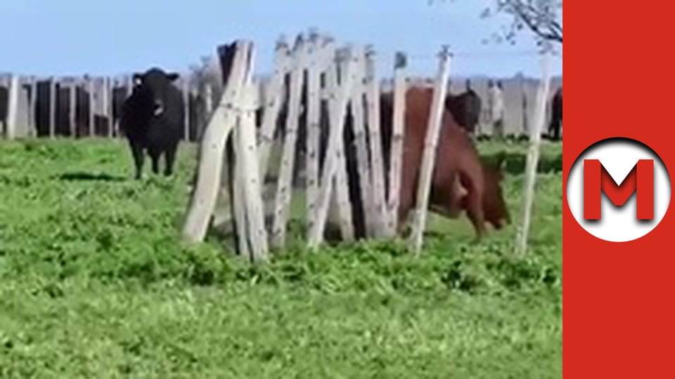 "Max Show" season 1 series 30