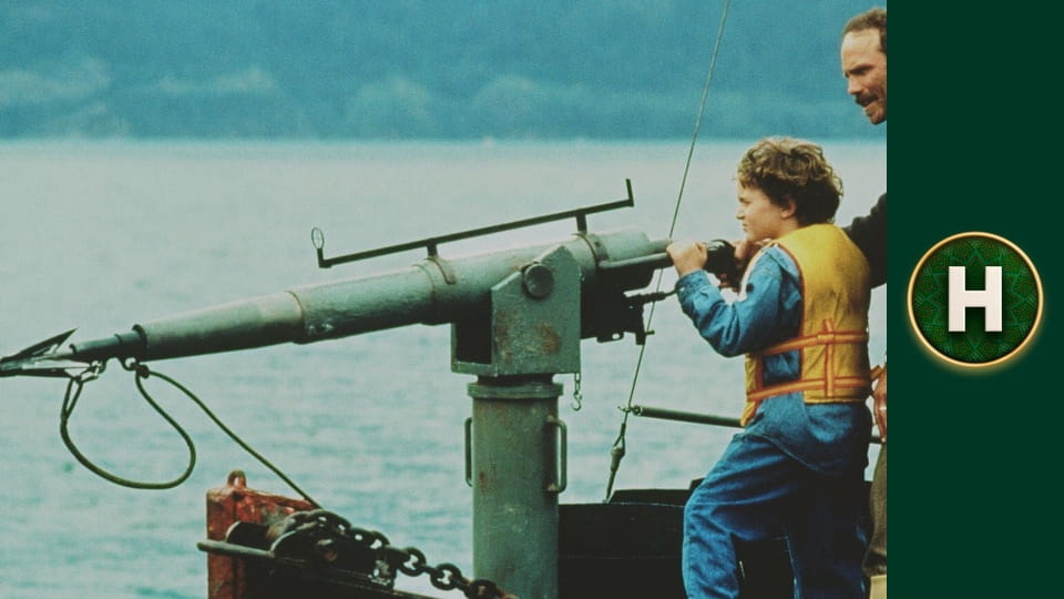 Звільніть Віллі 3: Порятунок