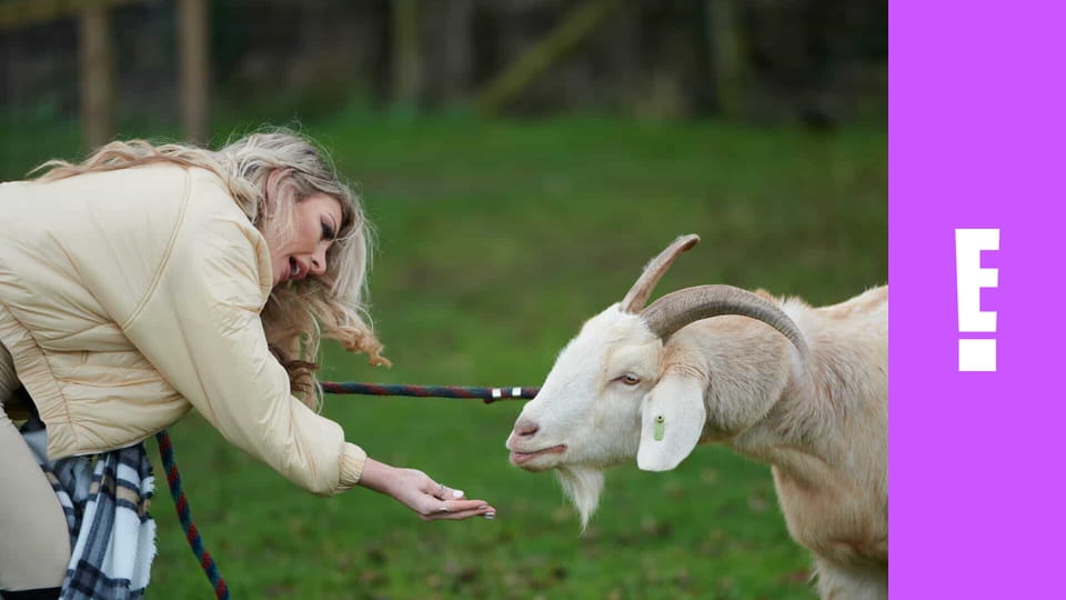 Dating: No Filter S1E12 - The Art Of Love