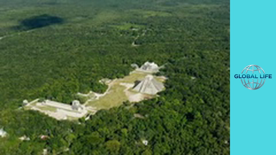 Дождь. Нерассказанная история Сезон 1 Эпизод 1