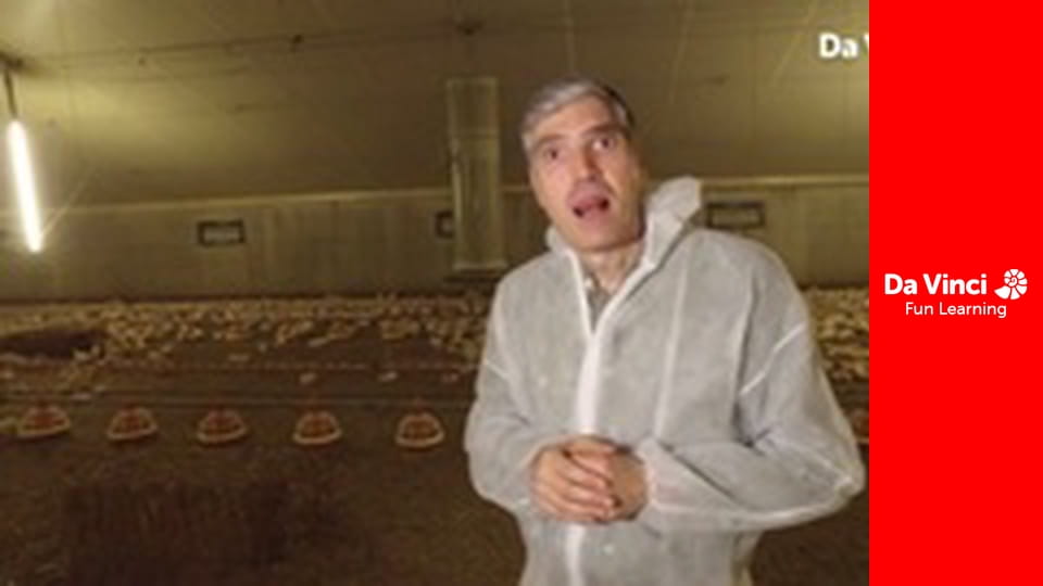 Футуріс - Розумна тваринницька ферма