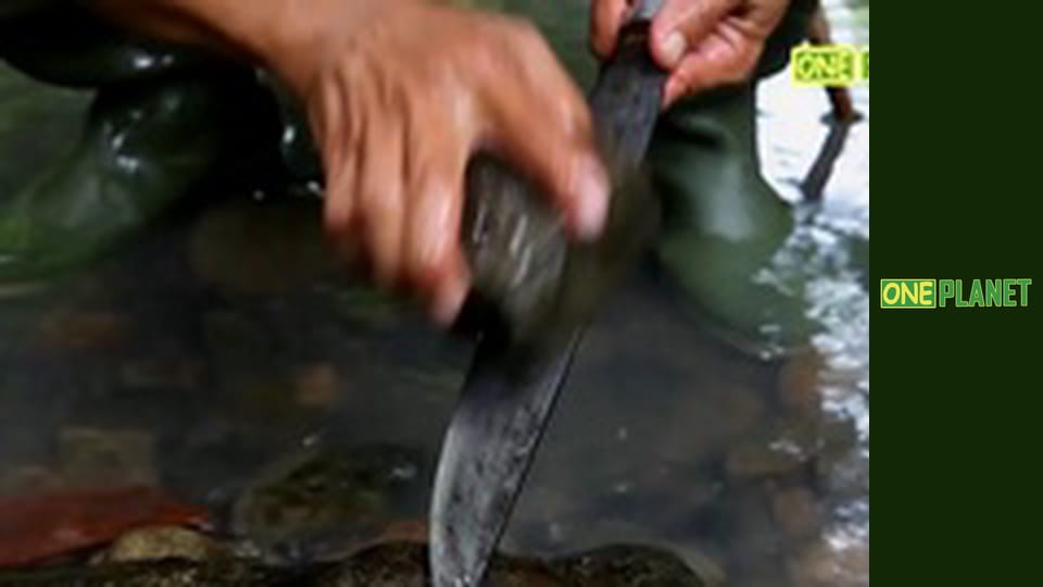 Путешествия по городам с историей, 11 эп. Токио, Япония. Город будущего.