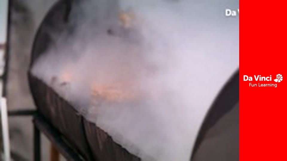 Матильда і  Рамзі - Барбекю