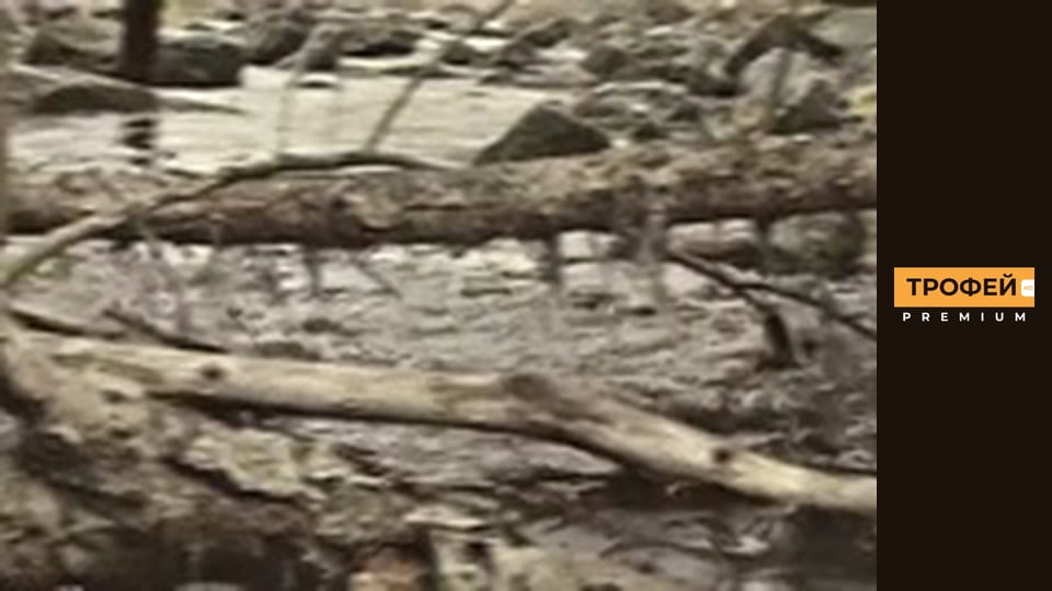 Адаптер. Серия 9