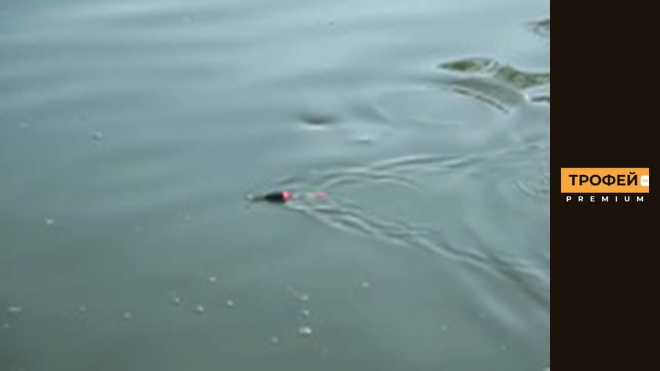 Star fishing. Episode 3