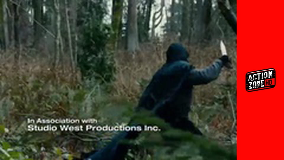 In the Name of the King 2: Two Worlds