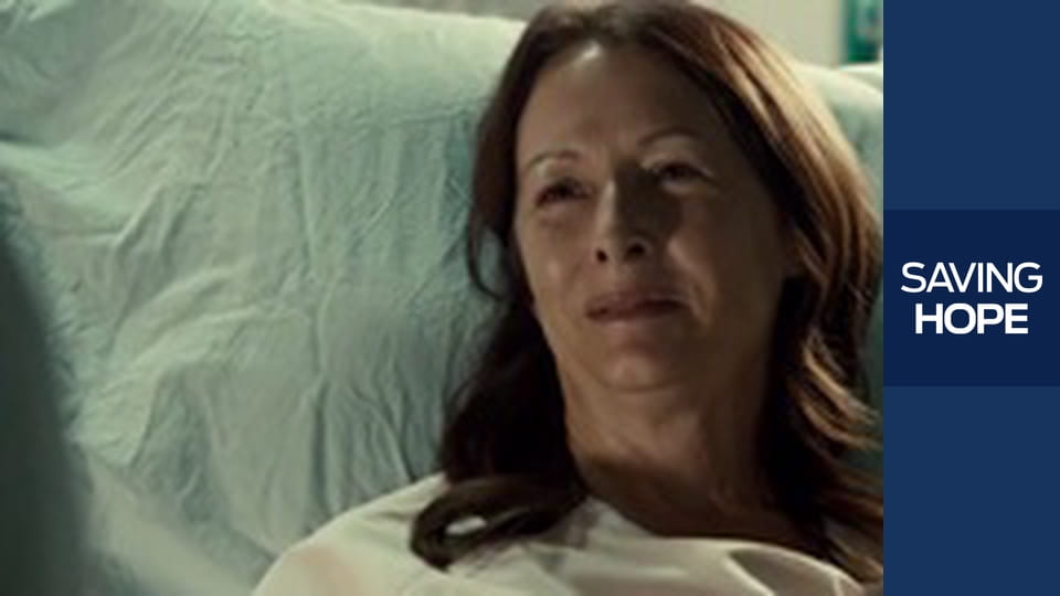 Dvojčata jehňátek S2E17