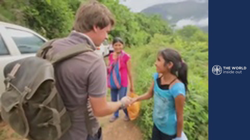 Endless coca plantations and skewered roasted Guinea pig. Bolivia.