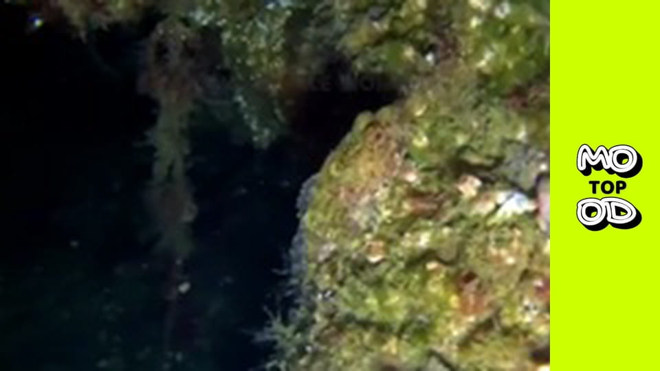 TopMood Сезон 4 Епізод 7