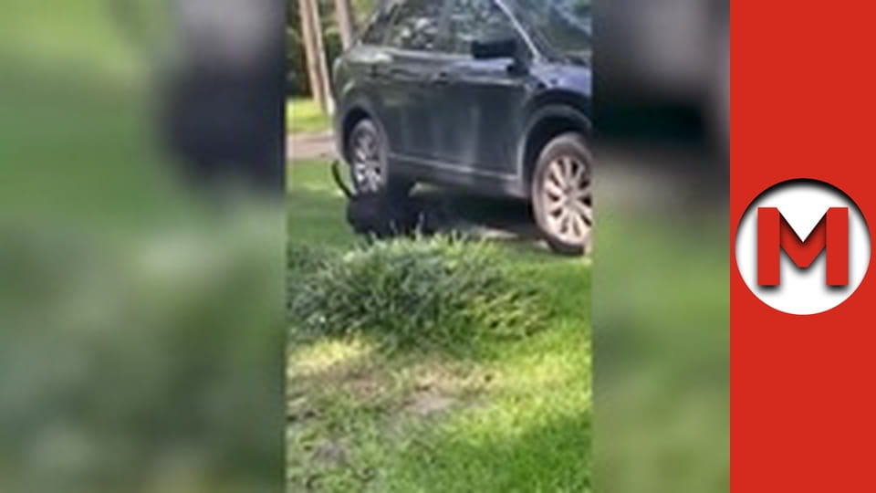 Max TV - сезон 5 - серія 107