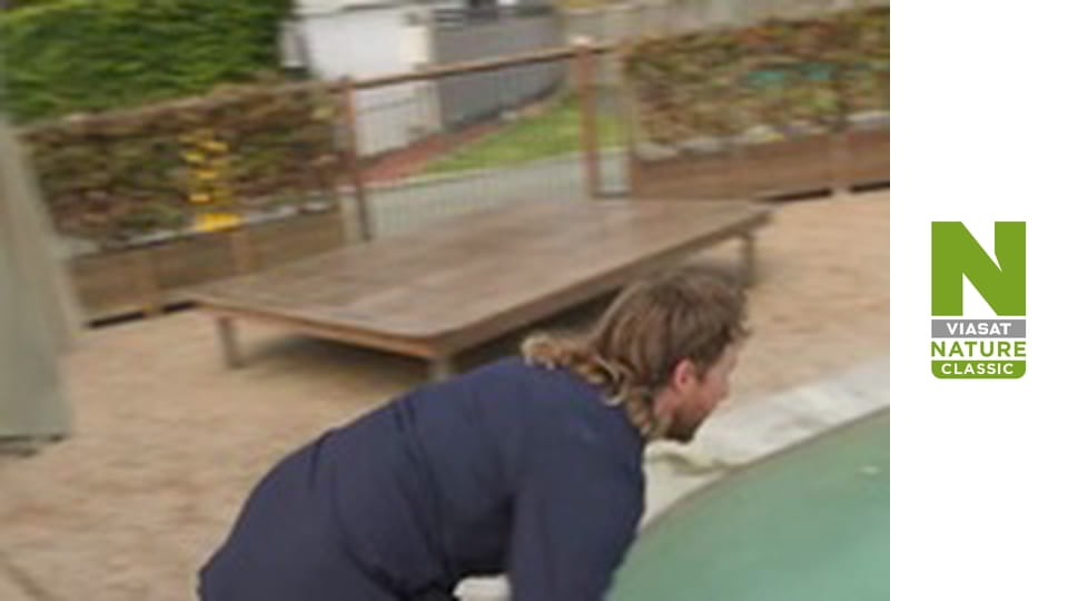 Aussie Snake Wranglers - Too Close For Comfort