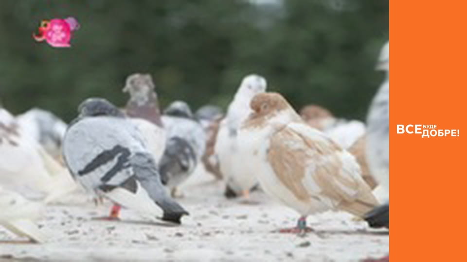 Season 4, Episode 12, Part 1