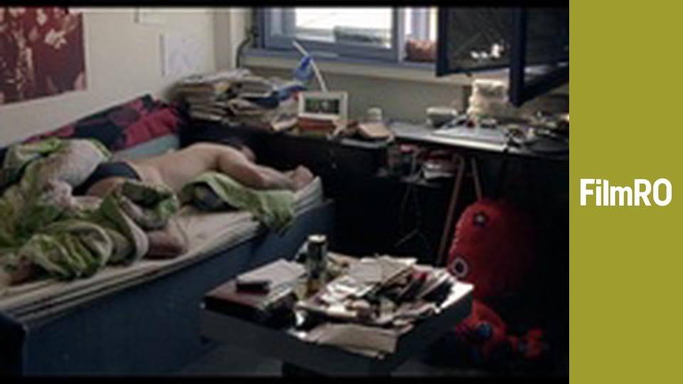 TOATALUMEADINFAMILIANOASTRA (FilmRO RO)