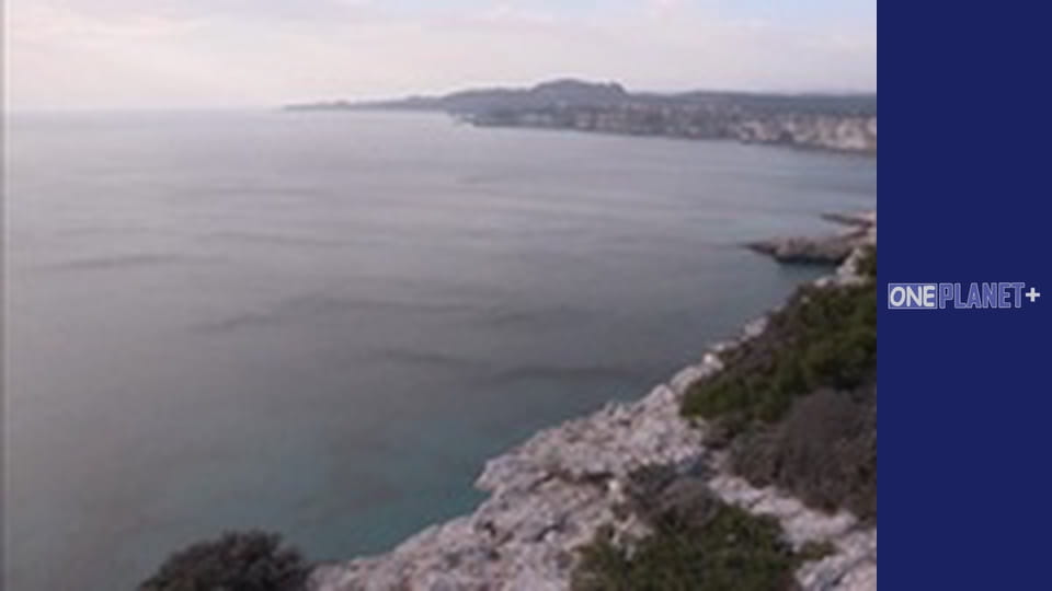 Под открытым небом - Национальные парки. - cерия 2