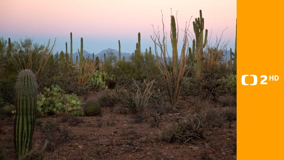 Začalo to v Yellowstonu - národní parky USA a jejich příroda