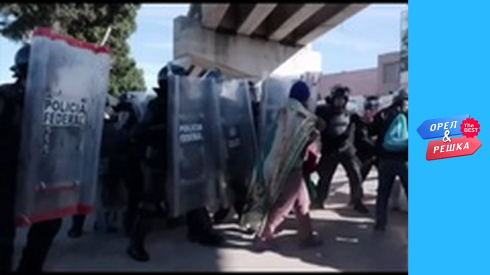 Золота карта, Випуск 31