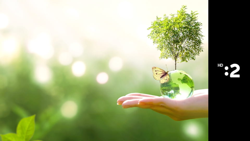 Eko to funguje E40 - Adaptácia miest na klimatické zmeny