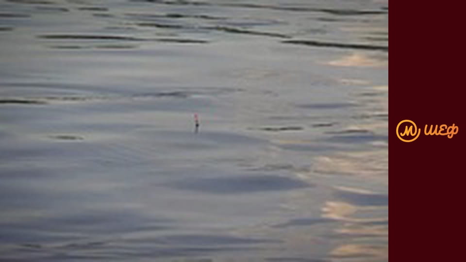 Сезон 7, Випуск 18, Частина 6