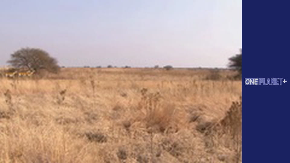 У пошуках знань. - серия 21