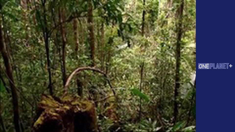 У пошуках знань. - серия 21