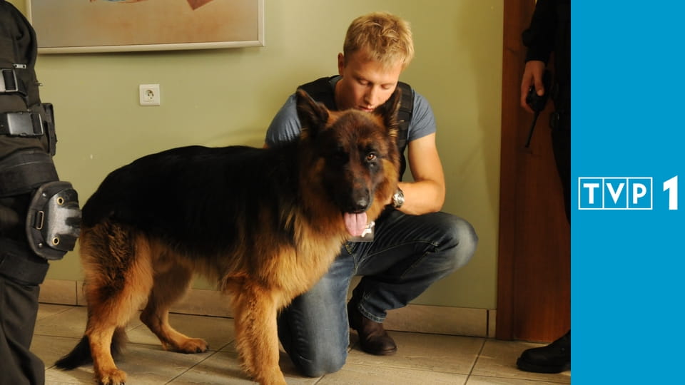 Komisarz Alex S4E11 - Morderczy plan