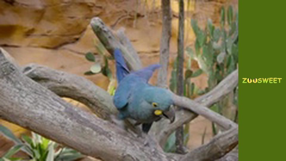 Дикі забави Сан-Дієго - серія 19