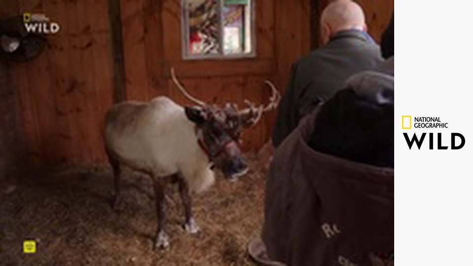 Невероятный доктор Пол S23E6