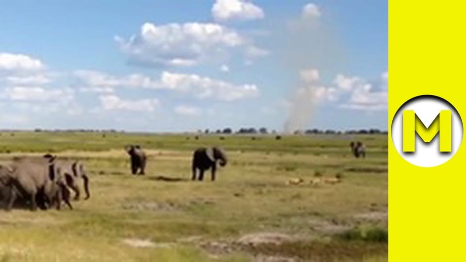 Max TV - сезон 1 - серія 85