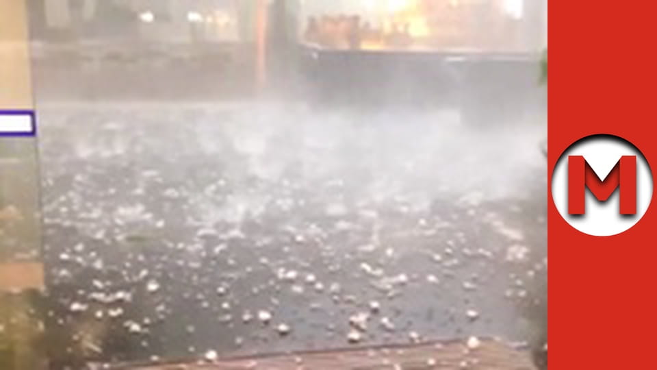 Max TV - сезон 5 - серія 20