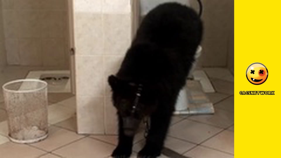 Funny & Funnier, 3 еп.