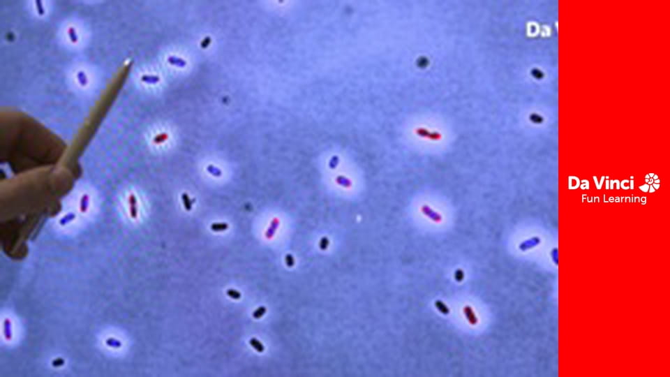 Футурис - Веселый газ - еще один враг климата