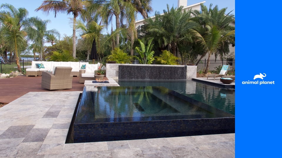 Невероятные бассейны S2E8 - Спа люкс во дворе