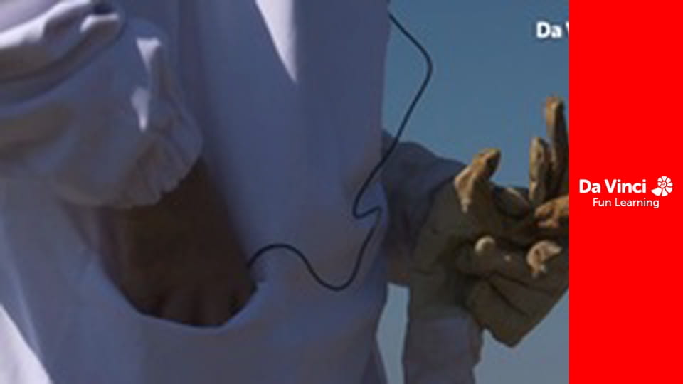 Футурис - Глобальные наблюдения