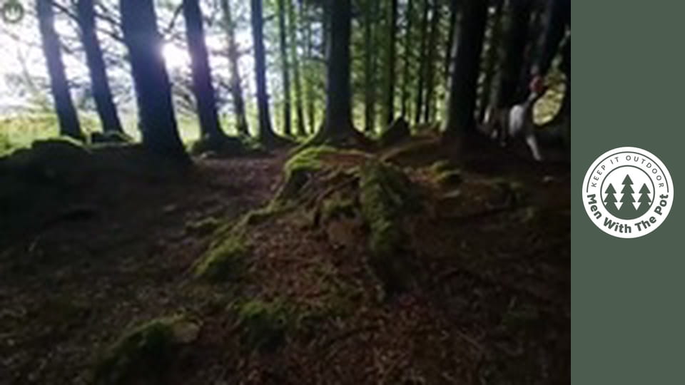 The BEST Way to Make Salmon in Nature