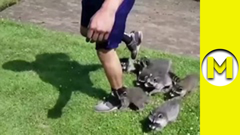 Max TV - сезон 2 - серія 14