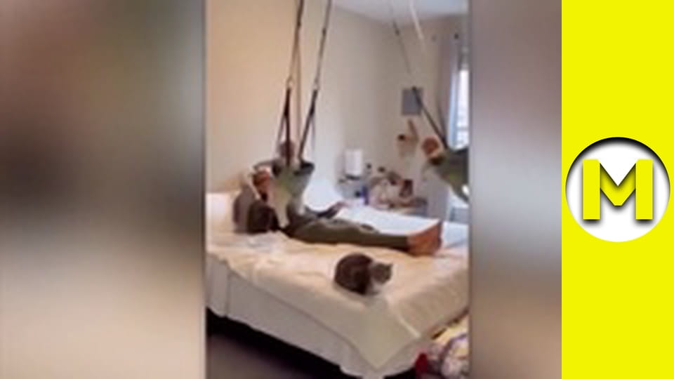 Max TV - сезон 2 - серія 14