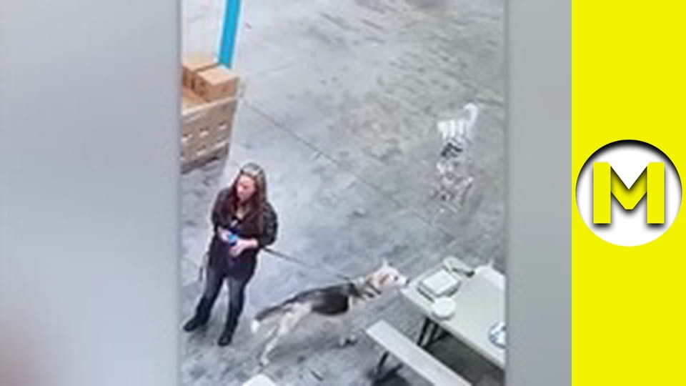 Max TV - сезон 2 - серія 24