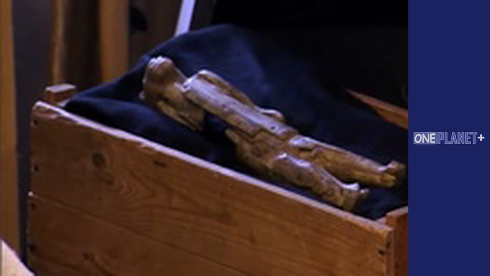 Подорож у Минуле, Випуск 1