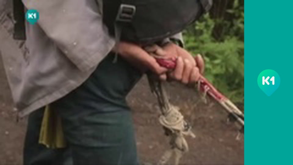 "Орел і Решка. Дайджест".