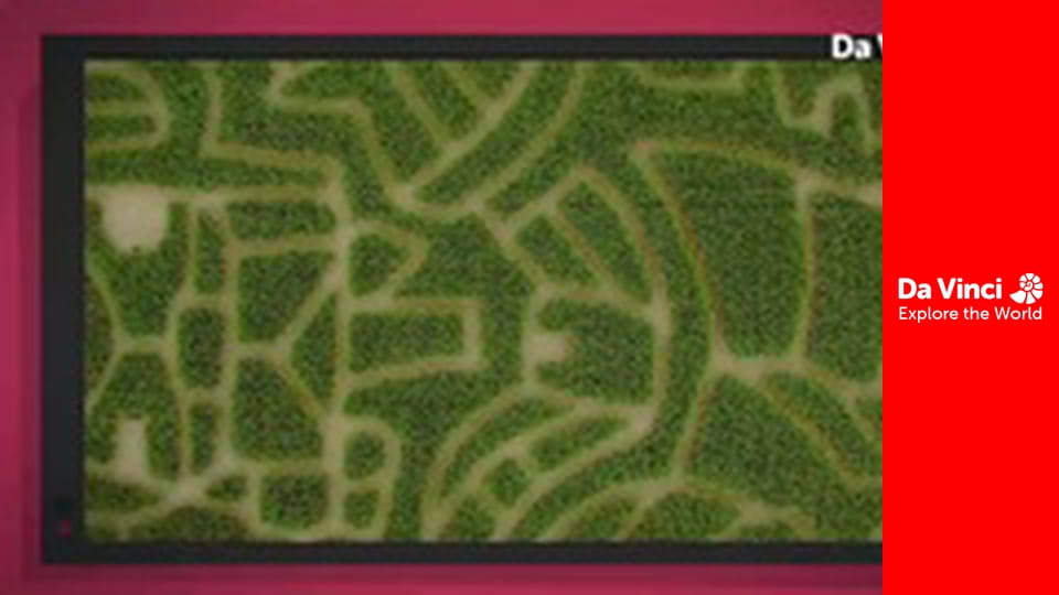 Do You Know? - At Christmas