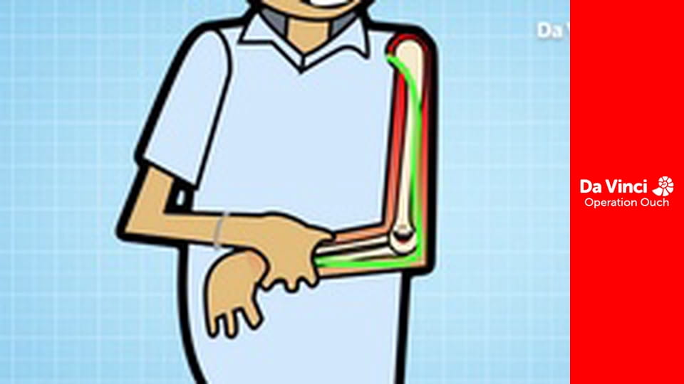 Operation Ouch! - The Journey from Mouth to Stomach