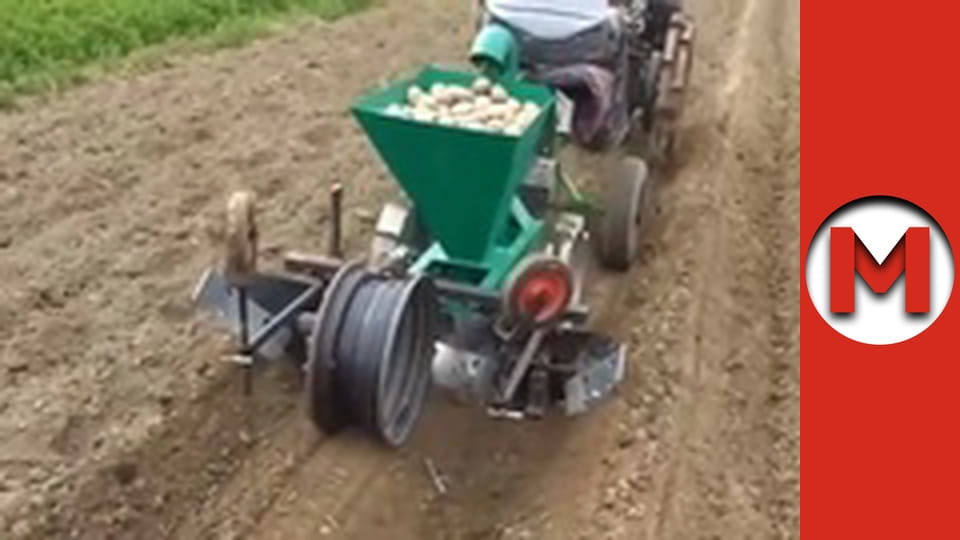 Max TV - season 1 - episode 49