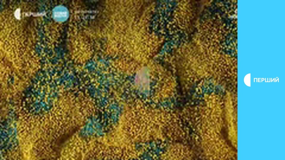 Суспільне Новини. Наживо.